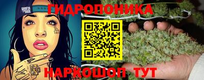PSILOCYBIN Новодвинск