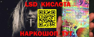 твердый Новозыбков