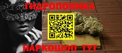 PSILOCYBIN Новодвинск