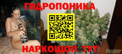 PSILOCYBIN Новодвинск